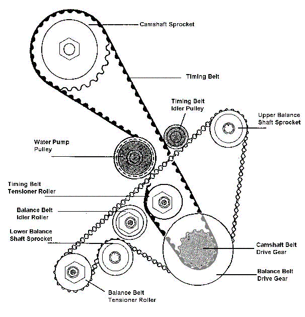 Timing Belt and Balance Shaft Belt 