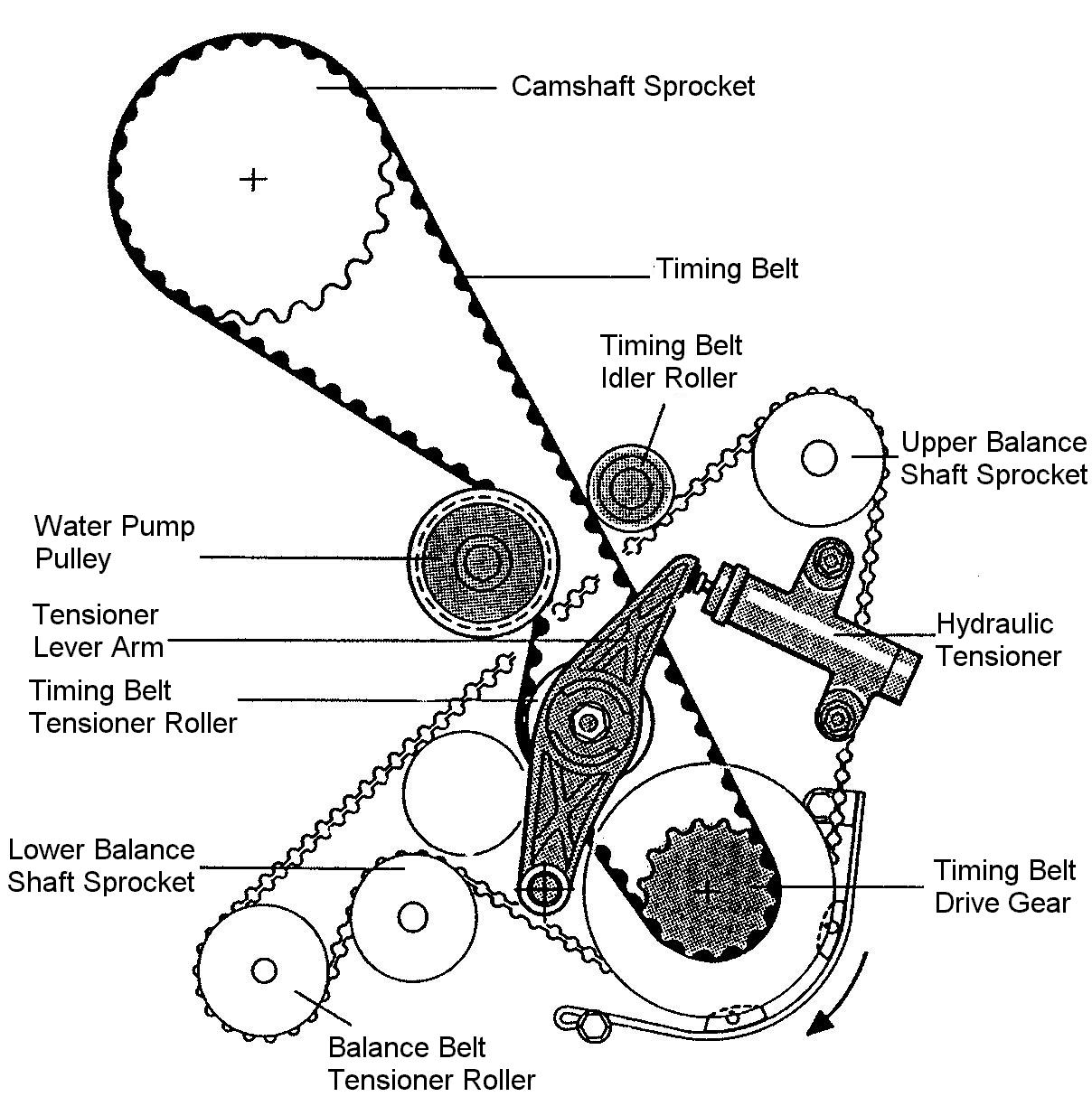 Timing Belt and Balance Shaft Belt 